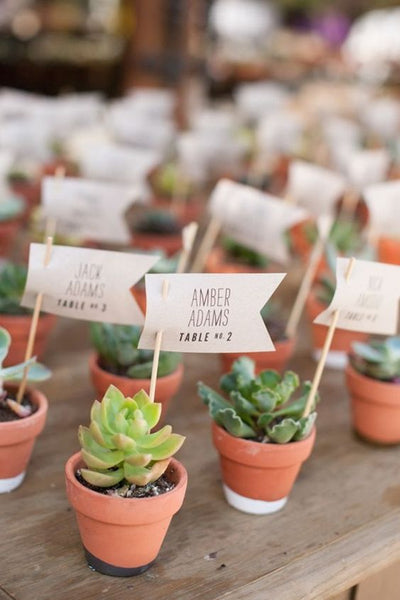 These succulent escort cards are not only great for showing guests where they should be seated, they're good as wedding favors, too.