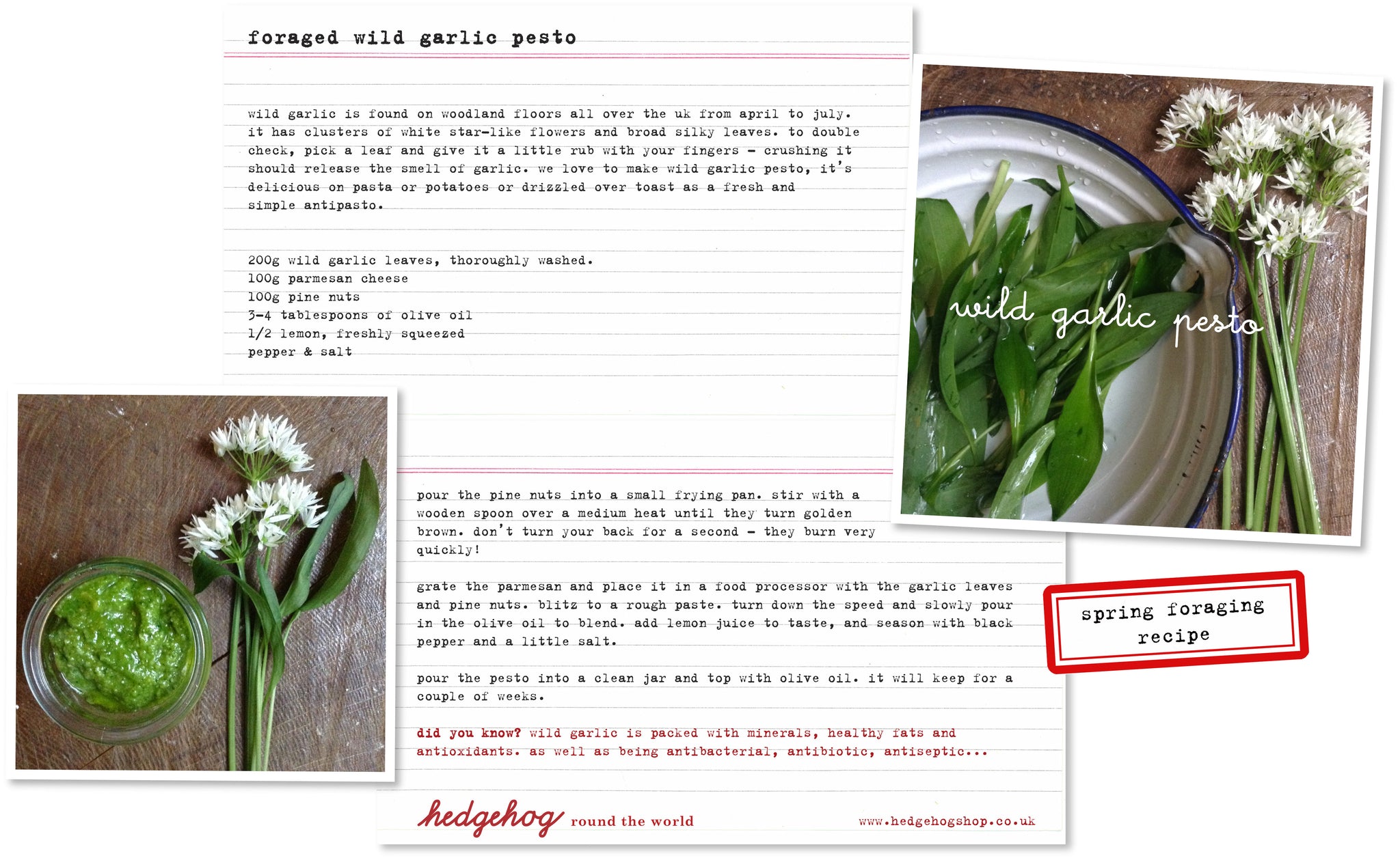 wild garlic pesto