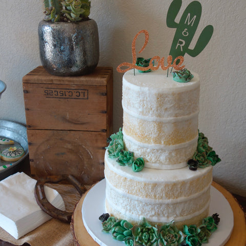 Succulent Naked Cake 