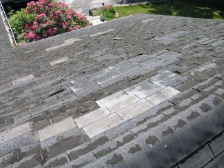 damaged shingles