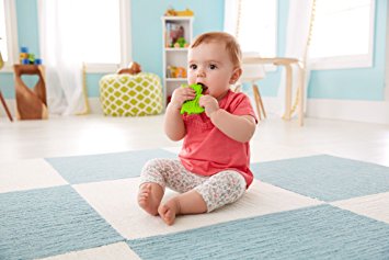 fisher price alligator teether