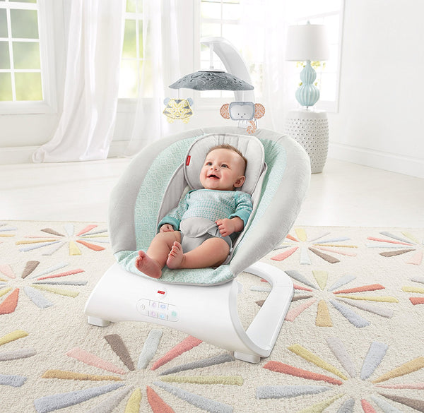 sweet surroundings deluxe bouncer