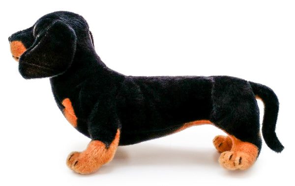 stuffed wiener dog