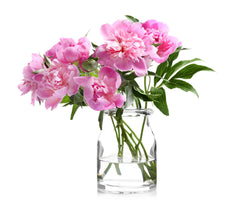 Vase of Fresh Flowers