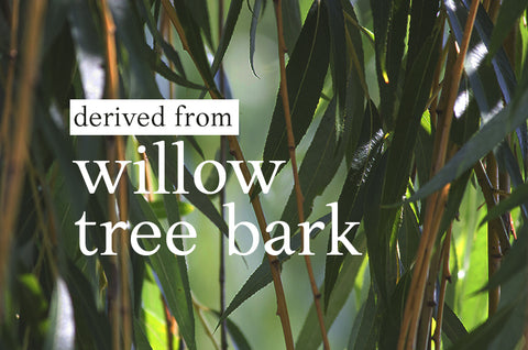 derived from willow tree bark