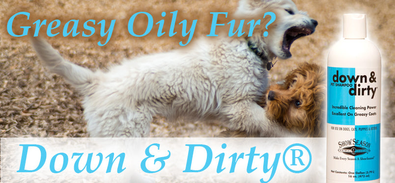 Dog Shampoo For Oily Fur