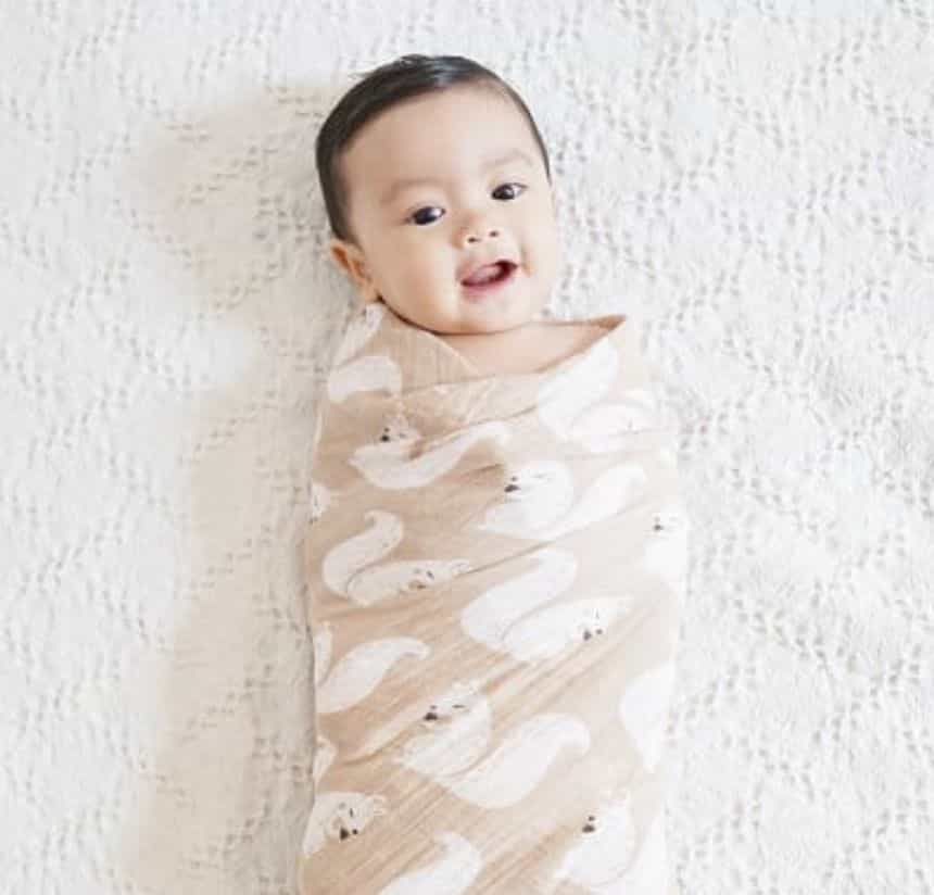 Swaddle Blankets Singles Collections - Roll Up Baby