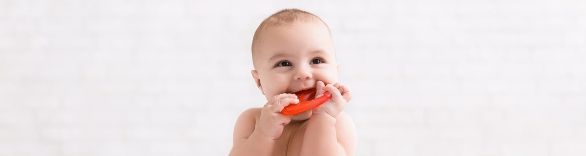 Baby Teethers Collection - Roll Up Baby
