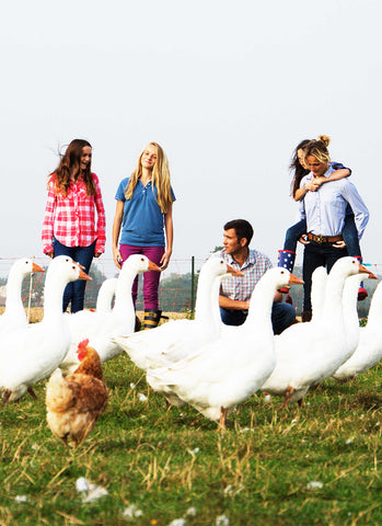 Meet our Free-Range Goose Farmer