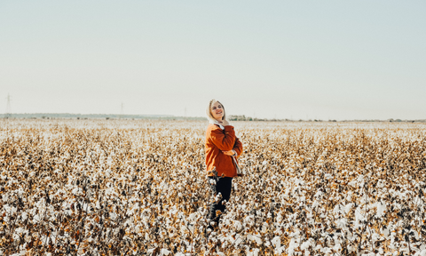 Organic Cotton Field