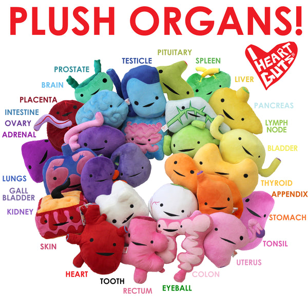 I Heart Guts Plush Internal Organs