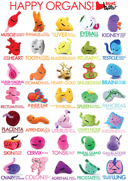 I Heart Guts Plush Organs Poster Free Download