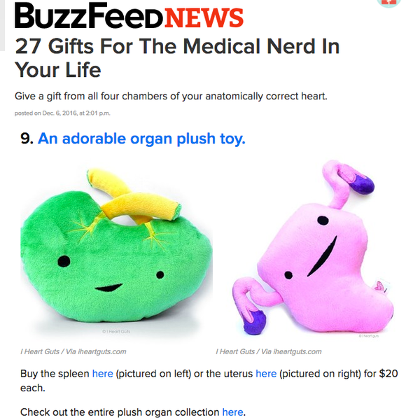 Buzzfeed Best Gifts for Medical Nerds