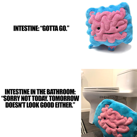 Intestine Meme - IBS IBD Meme - Colitis Crohns Humor