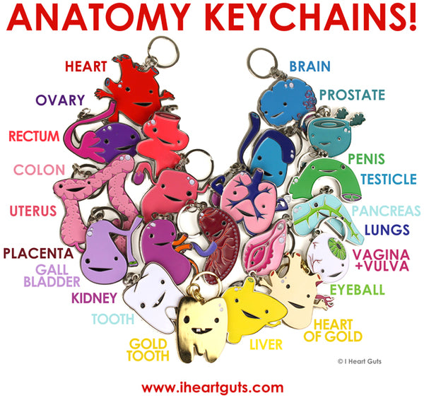 I Heart Guts Anatomy Keychains
