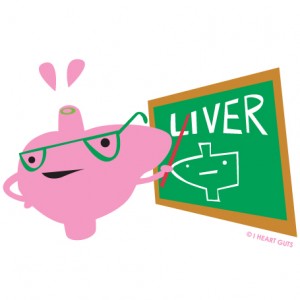 liver-teaching