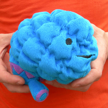 stuffed brain