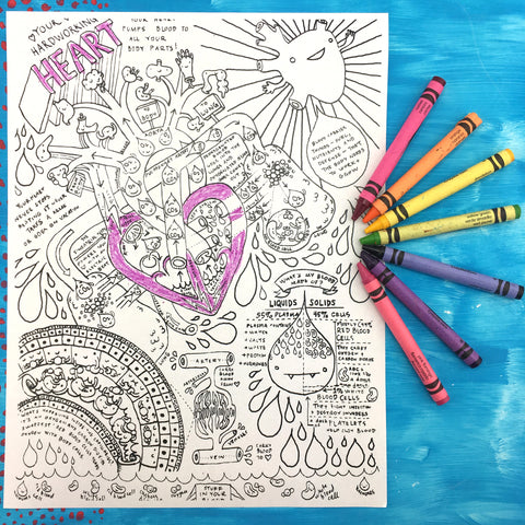 Heart + Circulatory System Coloring Sheet - Free Download - I Heart Guts