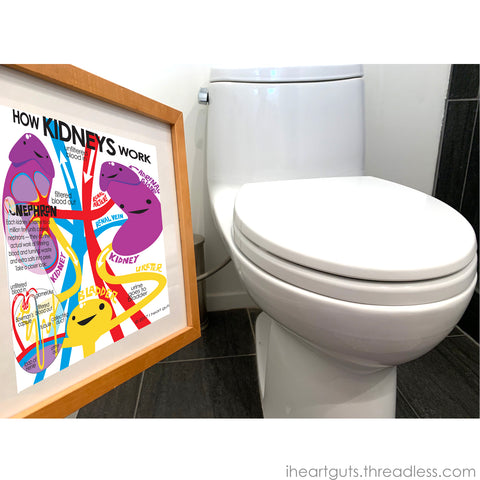 How Kidneys Work - Doctor's Office Artwork - Nephrology Poster - Fun Kidney Artwork
