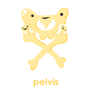 Pelvis - You're So Hip