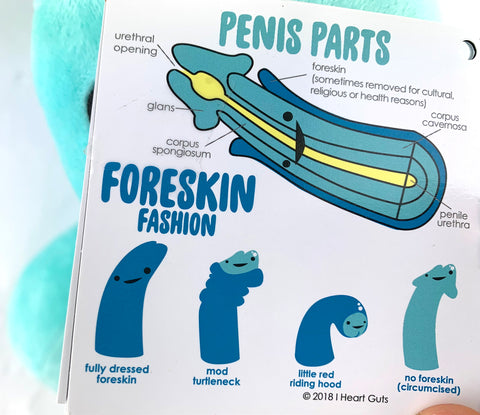 Penis Part - Foreskin Fashion