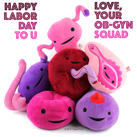 Uterus Gyno Plush Educational Women's Health Toys