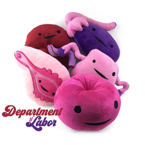 Reproductive System Plush Toys - Female Toy Figures - Sex Ed Models