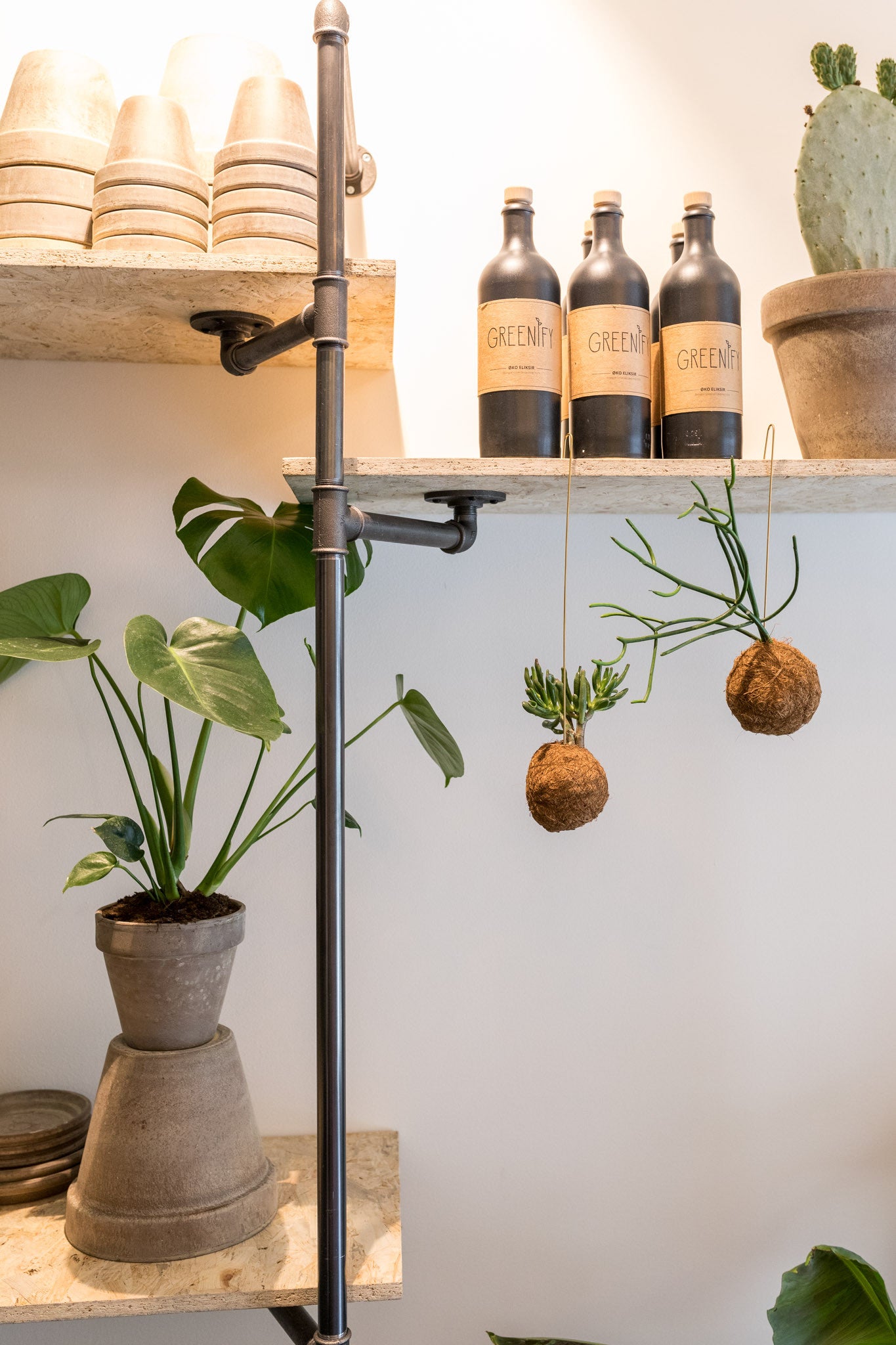 Custom reol til plante butik på Frederiksberg - træreol med vandrør