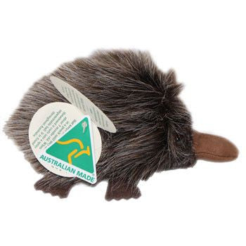 echidna soft toy