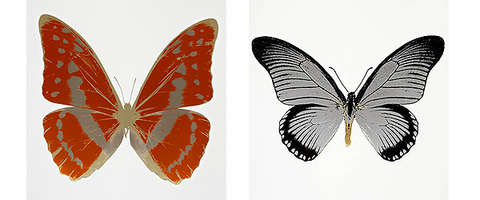 Damien Hirst 'The Souls' selling fast | Image
