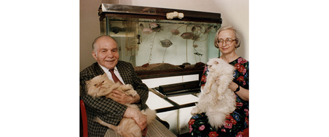 Herbert and Dorothy Vogel: not your average art collectors | Image