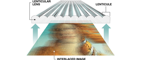 Looking at Lenticular Illusion | Image
