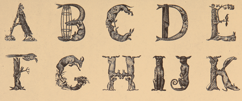 Peter Blake: Man of Letters and Alphabet Art | Image