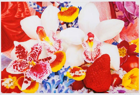 Spotlight On: Marc Quinn | Image