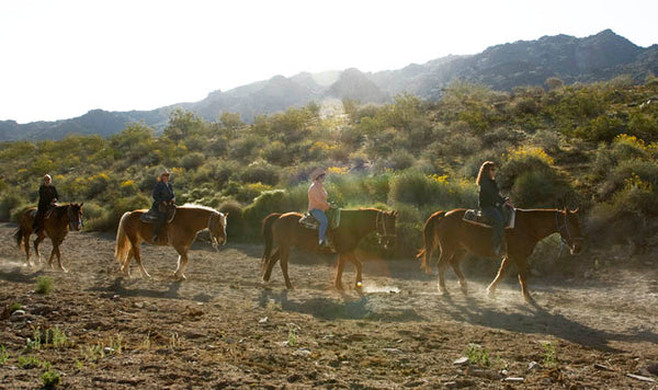 Horseback riding in Arizona