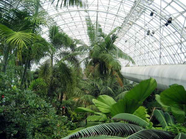 Tropical Conservatory