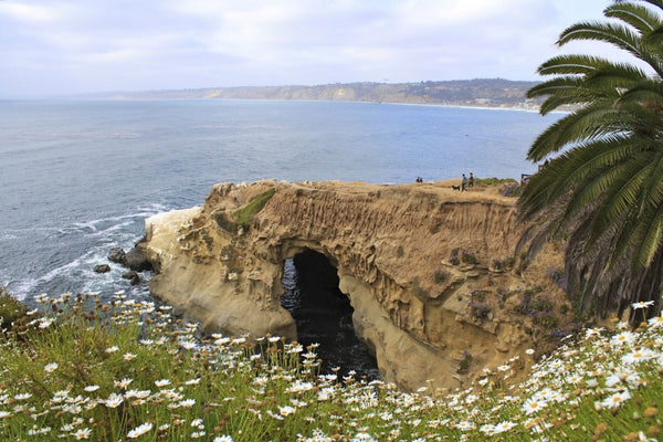 La Jolla Coast