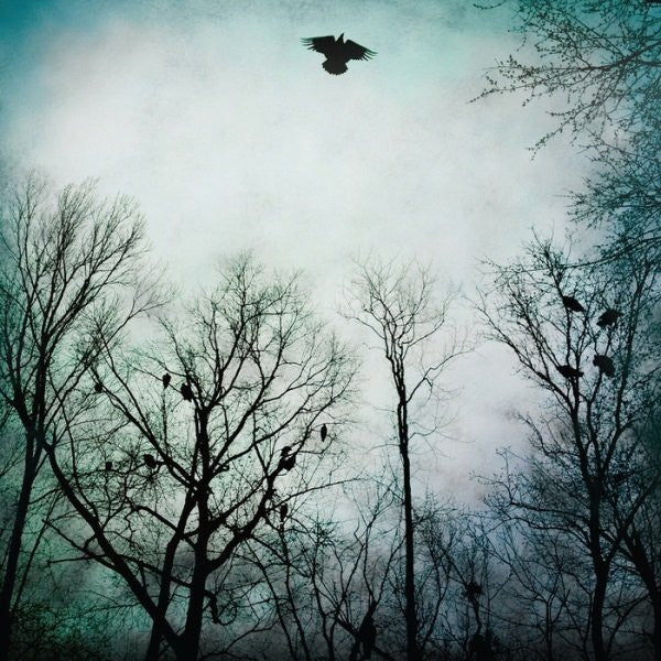 Over the Ocean "Be Given to the Soil" 2xLP