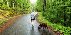 Dog and woman walking on a path in the rain