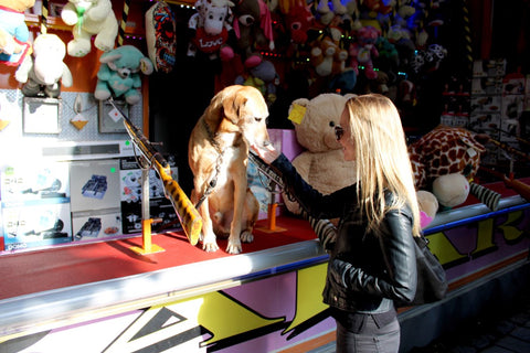 dog at fair with woman in front of toys
