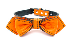 orange luxury leather bowtie dog collar