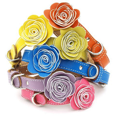 colorful luxury leather dog collars with flowers