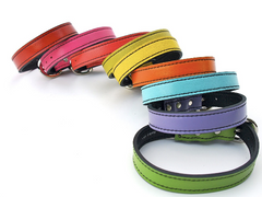 array of colorful luxury leather dog collars