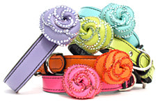 colorful leather luxury dog collars with crystal studded flowers