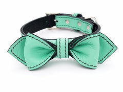 seafoam green luxury leather bow tie dog collar