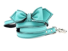 seafoam green luxury leather bow tie dog leash