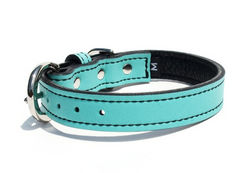 seafoam green leather luxury dog collar