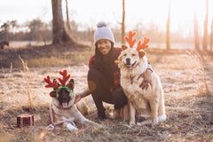 two dogs with owner posing for holiday photo