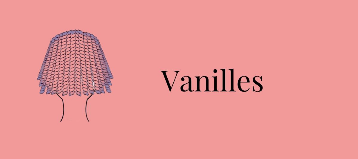 bannière vanilles