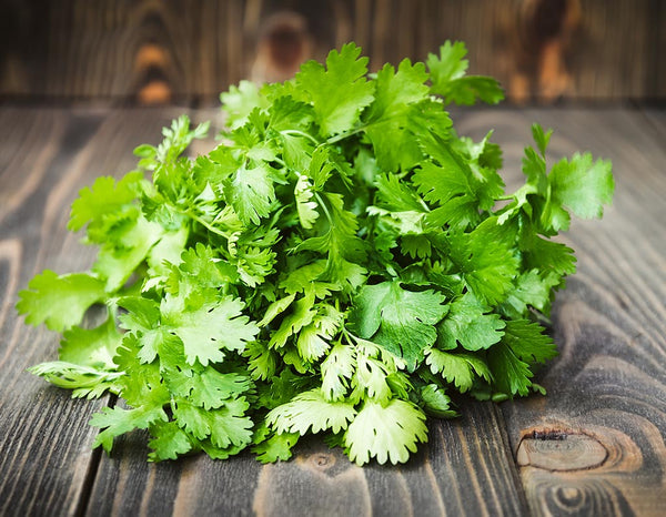 Coriander-for-weight-loss